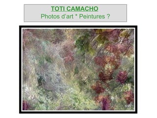 TOTI CAMACHO   Photos d’art * Peintures ? 