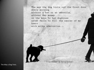 The Way a Dog Trots.
 