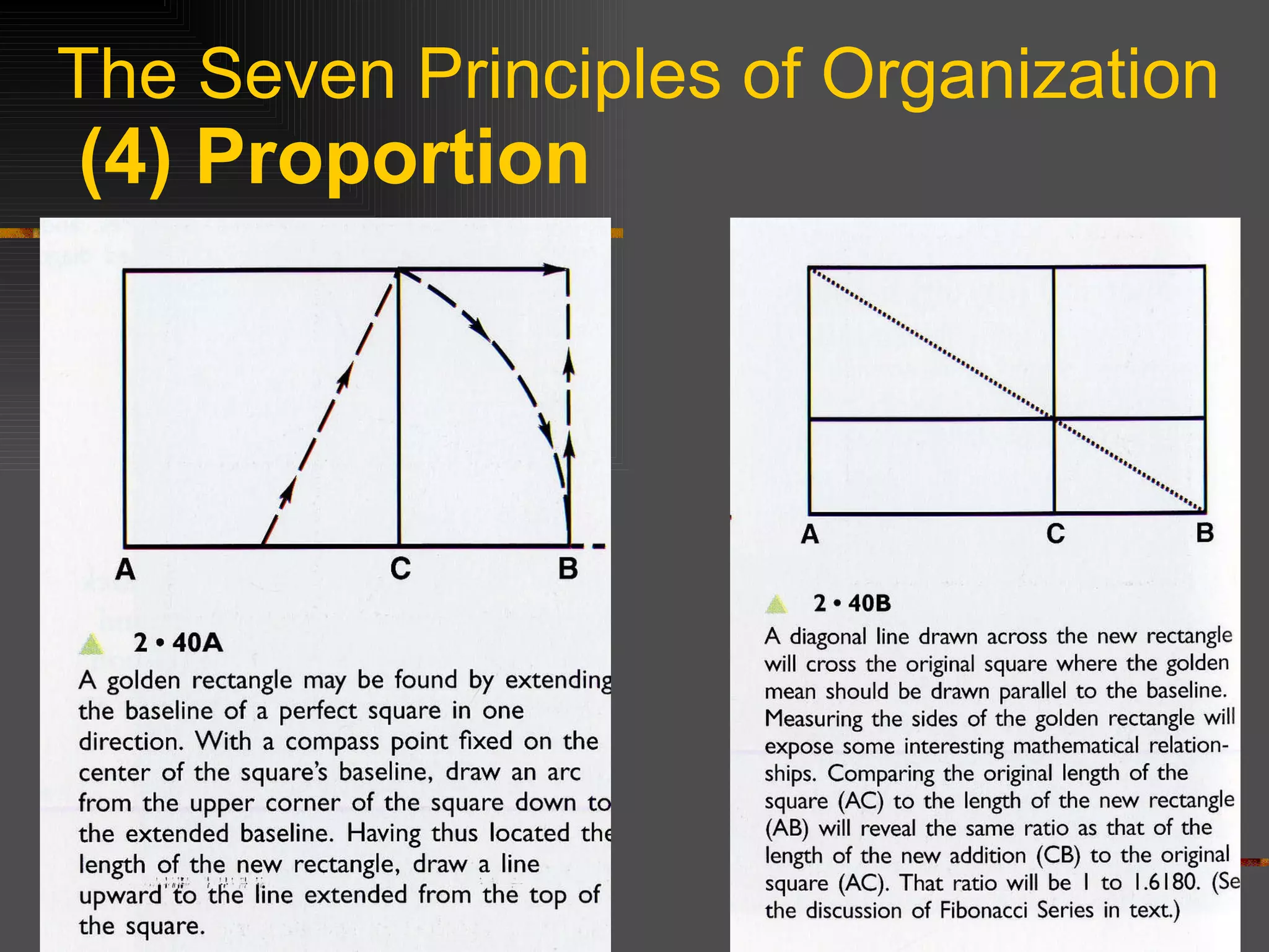 The Seven Principles of Organization   (4) Proportion 