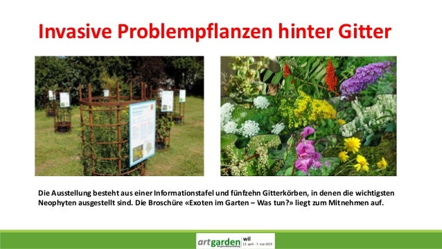 Artgarden Internet