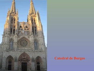 Catedral de Burgos
 