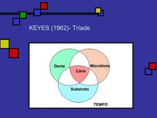  KEYES (1962)- Tríade
Microbiota
Substrato
Dente
Cárie
TEMPO
 
