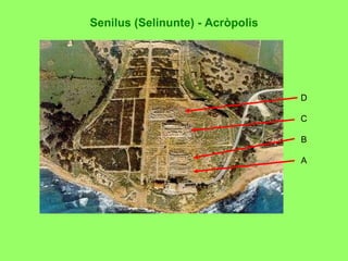 Senilus (Selinunte) - Acròpolis D C B A 