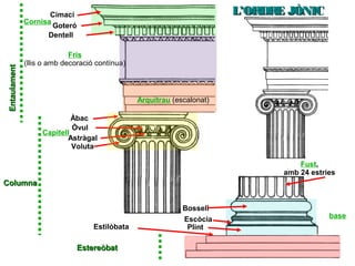 L’ORDRE JÒNICL’ORDRE JÒNIC
EstereòbatEstereòbat
base
Estilòbata
Voluta
Astràgal
Òvul
Àbac
EntaulamentEntaulament
Fris
(llis o amb decoració contínua)
Cornisa
Capitell
ColumnaColumna
Fust,
amb 24 estries
Goteró
Cimaci
Arquitrau (escalonat)
Escòcia
Plint
Bossell
Dentell
 