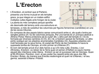 L’Erecton
• L'Erectèon, al contrari que el Partenó,
presenta una forma inusual en els temples
grecs, ja que integra en un mateix edifici
múltiples cultes lligats amb l'origen de la ciutat.
• La planta és més complexa perquè aprofita
els desnivells del terreny amb una estructura en
terrasses, a més de substituir les columnes per figures femenines (cariàtides) en una
de les seves tribunes.
• Es composa de dos espais bàsics sense comunicació entre si, als quals s'entra per
sengles pòrtics (A i G) de columnes jòniques. Per una banda té un prònaos dedicat a
Athena Polias 'Atena protectora de la ciutat' (B). L'altra part del temple (C i D) és
formada per diverses cambres (Ci D), (E) i té, a l'extrem oposat de l'entrada, un altre
pòrtic sostigut per sis pilastres anomenades Cariàtides (G). Aquestes pilastres són
molt famoses per la seva forma. Al costat del Pòrtic de les Cariàtides hi havia la
suposada tomba de Cècrops, el mític primer rei d'Atenes (F).
• El nom del temple prové d'un dels herois a qui s'hi retia culte, Erecteu. L'avi
d'Erecteu, Erectoni, va néixer de la Terra quan el semen d‘Hefest va caure mentre
aquest déu intentava violar Atena. Erictoni va ser el successor del rei Cècrops. Quan
el fill d'Erictoni, Pandíon, morí, el seu poder fou repartit entre els seus dos fills,
Erecteu i Butes, de manera que Erecteu esdevingué el quart rei d'Atenes, i el seu
germà, sacerdot d'Atena i Posidó.
N
O
S
E
 