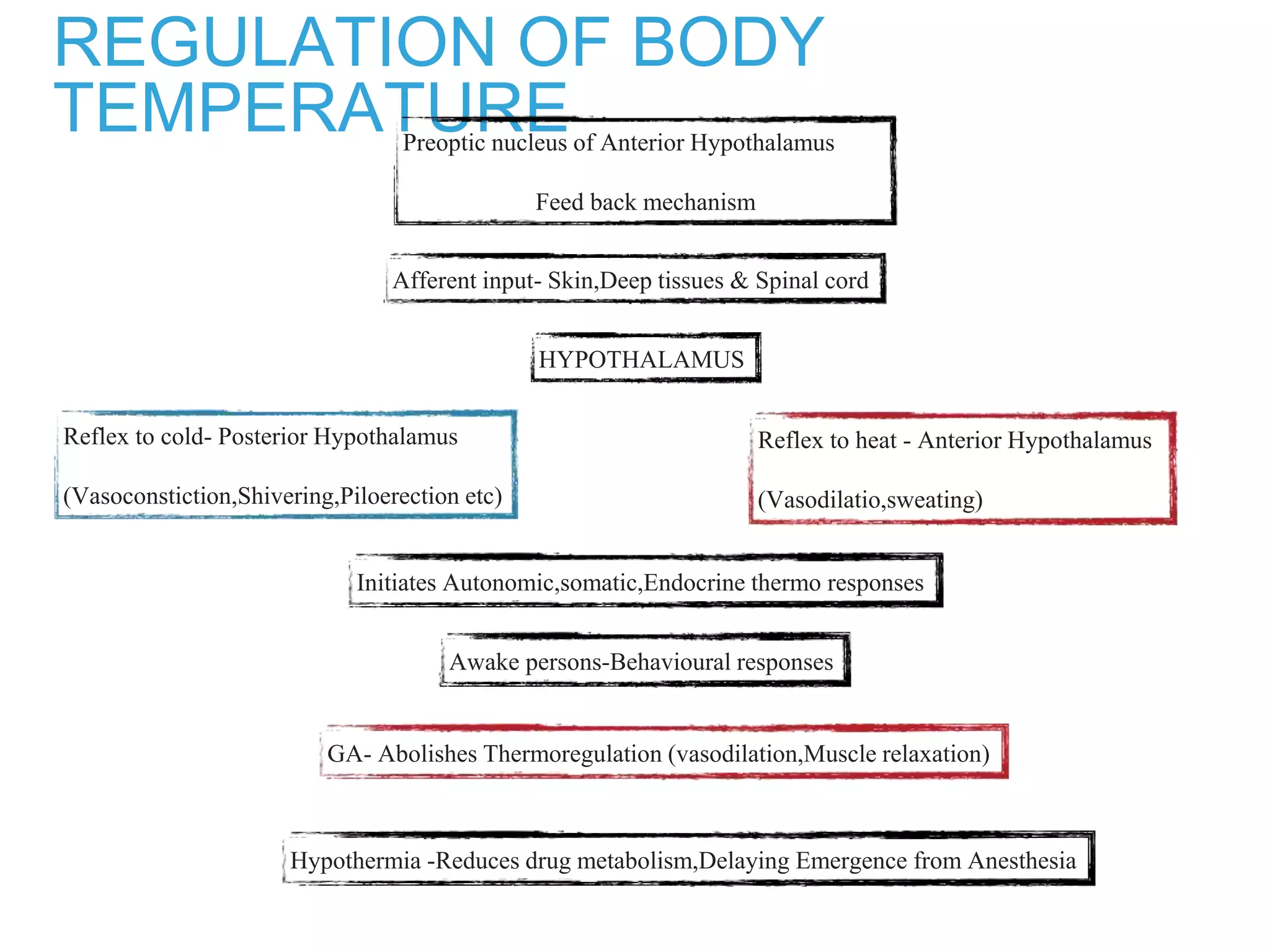 REGULATION OF BODY
TEMPERATUREPreoptic nucleus of Anterior Hypothalamus
Feed back mechanism
Afferent input- Skin,Deep tissues & Spinal cord
HYPOTHALAMUS
Reflex to cold- Posterior Hypothalamus
(Vasoconstiction,Shivering,Piloerection etc)
Reflex to heat - Anterior Hypothalamus
(Vasodilatio,sweating)
Initiates Autonomic,somatic,Endocrine thermo responses
Awake persons-Behavioural responses
GA- Abolishes Thermoregulation (vasodilation,Muscle relaxation)
Hypothermia -Reduces drug metabolism,Delaying Emergence from Anesthesia
 