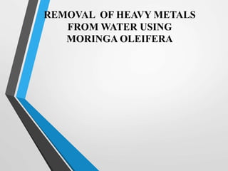 REMOVAL OF HEAVY METALS
FROM WATER USING
MORINGA OLEIFERA
 