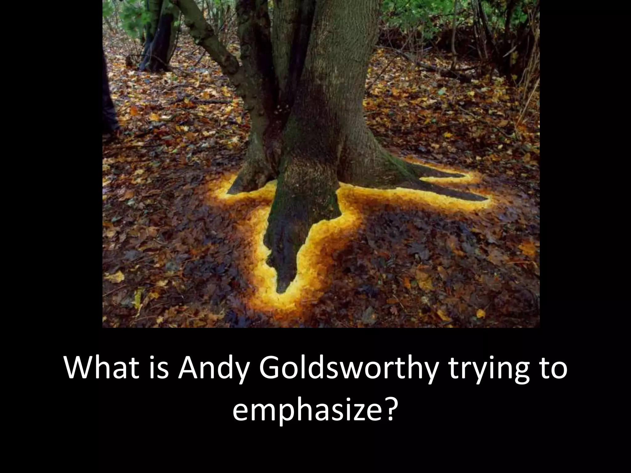 What is Andy Goldsworthy trying to
emphasize?
 