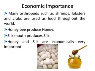Economic Importance
Many arthropods such as shrimps, lobsters
and crabs are used as food throughout the
world.
Honey bee produce Honey.
Silk mouth produces Silk.
Honey and Silk are economically very
important.
 