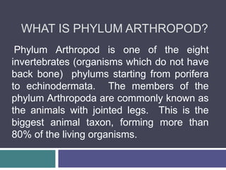 WHAT IS PHYLUM ARTHROPOD?
Phylum Arthropod is one of the eight
invertebrates (organisms which do not have
back bone) phylums starting from porifera
to echinodermata. The members of the
phylum Arthropoda are commonly known as
the animals with jointed legs. This is the
biggest animal taxon, forming more than
80% of the living organisms.
 