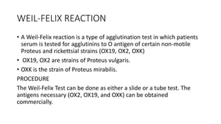 WEIL-FELIX REACTION
• A Weil-Felix reaction is a type of agglutination test in which patients
serum is tested for agglutinins to O antigen of certain non-motile
Proteus and rickettsial strains (OX19, OX2, OXK)
• OX19, OX2 are strains of Proteus vulgaris.
• OXK is the strain of Proteus mirabilis.
PROCEDURE
The Weil-Felix Test can be done as either a slide or a tube test. The
antigens necessary (OX2, OX19, and OXK) can be obtained
commercially.
 