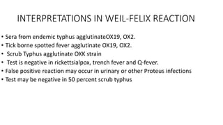 INTERPRETATIONS IN WEIL-FELIX REACTION
• Sera from endemic typhus agglutinateOX19, OX2.
• Tick borne spotted fever agglutinate OX19, OX2.
• Scrub Typhus agglutinate OXK strain
• Test is negative in rickettsialpox, trench fever and Q-fever.
• False positive reaction may occur in urinary or other Proteus infections
• Test may be negative in 50 percent scrub typhus
 