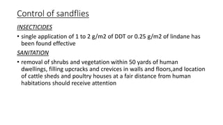 Control of sandflies
INSECTICIDES
• single application of 1 to 2 g/m2 of DDT or 0.25 g/m2 of lindane has
been found effective
SANITATION
• removal of shrubs and vegetation within 50 yards of human
dwellings, filling upcracks and crevices in walls and floors,and location
of cattle sheds and poultry houses at a fair distance from human
habitations should receive attention
 