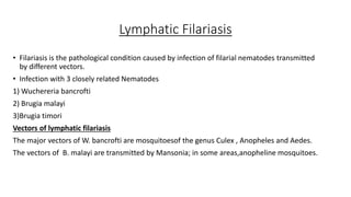 Lymphatic Filariasis
• Filariasis is the pathological condition caused by infection of filarial nematodes transmitted
by different vectors.
• Infection with 3 closely related Nematodes
1) Wuchereria bancrofti
2) Brugia malayi
3)Brugia timori
Vectors of lymphatic filariasis
The major vectors of W. bancrofti are mosquitoesof the genus Culex , Anopheles and Aedes.
The vectors of B. malayi are transmitted by Mansonia; in some areas,anopheline mosquitoes.
 
