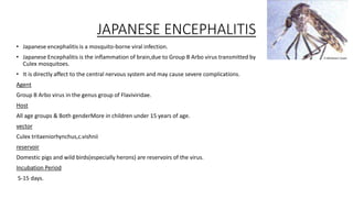 JAPANESE ENCEPHALITIS
• Japanese encephalitis is a mosquito-borne viral infection.
• Japanese Encephalitis is the inflammation of brain,due to Group B Arbo virus transmitted by
Culex mosquitoes.
• It is directly affect to the central nervous system and may cause severe complications.
Agent
Group B Arbo virus in the genus group of Flaviviridae.
Host
All age groups & Both genderMore in children under 15 years of age.
vector
Culex tritaeniorhynchus,c.vishnii
reservoir
Domestic pigs and wild birds(especially herons) are reservoirs of the virus.
Incubation Period
5-15 days.
 