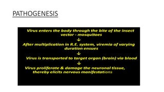 PATHOGENESIS
 