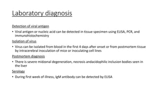 Laboratory diagnosis
Detection of viral antigen
• Viral antigen or nucleic acid can be detected in tissue specimen using ELISA, PCR, and
immunohistochemistry
Isolation of virus
• Virus can be isolated from blood in the first 4 days after onset or from postmortem tissue
by intracerebral inoculation of mice or inoculating cell lines
Postmortem diagnosis
• There is severe midzonal degeneration, necrosis andacidophilic inclusion bodies seen in
the liver
Serology
• During first week of illness, IgM antibody can be detected by ELISA
 