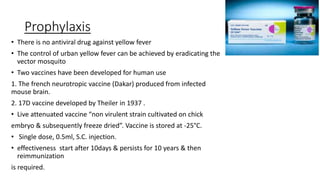 Prophylaxis
• There is no antiviral drug against yellow fever
• The control of urban yellow fever can be achieved by eradicating the
vector mosquito
• Two vaccines have been developed for human use
1. The french neurotropic vaccine (Dakar) produced from infected
mouse brain.
2. 17D vaccine developed by Theiler in 1937 .
• Live attenuated vaccine “non virulent strain cultivated on chick
embryo & subsequently freeze dried”. Vaccine is stored at -25°C.
• Single dose, 0.5ml, S.C. injection.
• effectiveness start after 10days & persists for 10 years & then
reimmunization
is required.
 