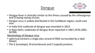 Dengue
• Dengue fever is clinically similar to the illness caused by the chikungunya
and O’nyong-nyong viruses.
• Dengue virus is widely distributed in the Caribbean region, south east
asia.
• In India first outbreak of dengue was recorded in 1812.
• In New Delhi, outbreaks of dengue fever reported in 1967,1970,1982,
&1996.
Morphology of Dengue virus
• spherical,Contains a single plus strand of RNA surrounded by a lipid
bilayer.
• The E (envelope), M (membrane) and C (capsid) proteins
 
