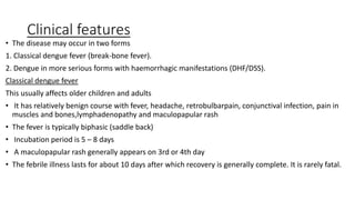 Clinical features
• The disease may occur in two forms
1. Classical dengue fever (break-bone fever).
2. Dengue in more serious forms with haemorrhagic manifestations (DHF/DSS).
Classical dengue fever
This usually affects older children and adults
• It has relatively benign course with fever, headache, retrobulbarpain, conjunctival infection, pain in
muscles and bones,lymphadenopathy and maculopapular rash
• The fever is typically biphasic (saddle back)
• Incubation period is 5 – 8 days
• A maculopapular rash generally appears on 3rd or 4th day
• The febrile illness lasts for about 10 days after which recovery is generally complete. It is rarely fatal.
 