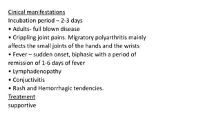 Cinical manifestations
Incubation period – 2-3 days
• Adults- full blown disease
• Crippling joint pains. Migratory polyarthritis mainly
affects the small joints of the hands and the wrists
• Fever – sudden onset, biphasic with a period of
remission of 1-6 days of fever
• Lymphadenopathy
• Conjuctivitis
• Rash and Hemorrhagic tendencies.
Treatment
supportive
 