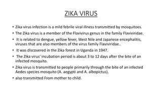 ZIKA VIRUS
• Zika virus infection is a mild febrile viral illness transmitted by mosquitoes.
• The Zika virus is a member of the Flavivirus genus in the family Flaviviridae.
• It is related to dengue, yellow fever, West Nile and Japanese encephalitis,
viruses that are also members of the virus family Flaviviridae..
• It was discovered in the Zika forest in Uganda in 1947.
• The Zika virus' incubation period is about 3 to 12 days after the bite of an
infected mosquito.
• Zika virus is transmitted to people primarily through the bite of an infected
Aedes species mosquito (A. aegypti and A. albopictus).
• also transmitted From mother to child.
 