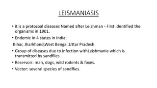 LEISMANIASIS
• it is a protozoal diseases Named after Leishman - First identified the
organisms in 1901.
• Endemic in 4 states in India:
Bihar, Jharkhand,West Bengal,Uttar Pradesh.
• Group of diseases due to infection withLeishmania which is
transmitted by sandflies.
• Reservoir: man, dogs, wild rodents & foxes.
• Vector: several species of sandflies.
 