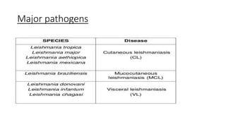 Major pathogens
 