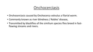 Onchocerciasis
• Onchocerciasis caused by Onchocerca volvulus a filarial worm.
• Commonly known as river blindness / Robles' disease,
• Transmitted by blackflies of the similium species flies breed in fast-
flowing streams and rivers.
 
