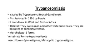 Trypanosomiasis
• caused by Trypanosoma Brucei Gambiense.
• First isolated in 1901 by Forde.
• It is endemic in West and Central Africa
• Habitat: They live in man and other vertebrate hosts. They are
parasites of connective tissue.
• Morphology- 2 forms
Vertebrate Forms-trypomastigote
Insect Forms-Epimastigotes, Metacyclic trypomastigote.
 