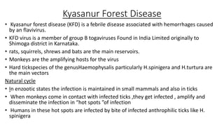 Kyasanur Forest Disease
• Kyasanur forest disease (KFD) is a febrile disease associated with hemorrhages caused
by an flavivirus.
• KFD virus is a member of group B togaviruses Found in India Limited originally to
Shimoga district in Karnataka.
• rats, squirrels, shrews and bats are the main reservoirs.
• Monkeys are the amplifying hosts for the virus
• Hard tickspecies of the genusHaemophysalis particularly H.spinigera and H.turtura are
the main vectors
Natural cycle
• In enzootic states the infection is maintained in small mammals and also in ticks
• When monkeys come in contact with infected ticks ,they get infected , amplify and
disseminate the infection in “hot spots ”of infection
• Humans in these hot spots are infected by bite of infected anthrophilic ticks like H.
spinigera
 
