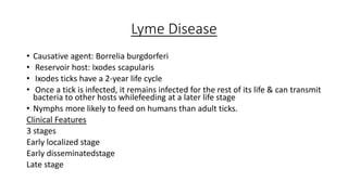 Lyme Disease
• Causative agent: Borrelia burgdorferi
• Reservoir host: Ixodes scapularis
• Ixodes ticks have a 2-year life cycle
• Once a tick is infected, it remains infected for the rest of its life & can transmit
bacteria to other hosts whilefeeding at a later life stage
• Nymphs more likely to feed on humans than adult ticks.
Clinical Features
3 stages
Early localized stage
Early disseminatedstage
Late stage
 