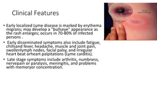 Clinical Features
• Early localized Lyme disease is marked by erythema
migrans; may develop a "bullseye" appearance as
the rash enlarges; occurs in 70-80% of infected
persons .
• Early disseminated symptoms also include fatigue,
chillsand fever, headache, muscle and joint pain,
swollenlymph nodes, facial palsy, and irregular
heart beat orheart palpitations (Lyme carditis).
• Late stage symptoms include arthritis, numbness,
nervepain or paralysis, meningitis, and problems
with memoryor concentration.
 