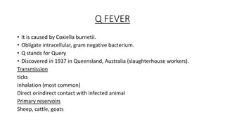 Q FEVER
• It is caused by Coxiella burnetii.
• Obligate intracellular, gram negative bacterium.
• Q stands for Query
• Discovered in 1937 in Queensland, Australia (slaughterhouse workers).
Transmission
ticks
Inhalation (most common)
Direct orindirect contact with infected animal
Primary reservoirs
Sheep, cattle, goats
 