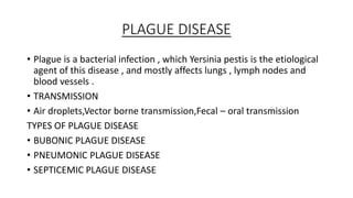 PLAGUE DISEASE
• Plague is a bacterial infection , which Yersinia pestis is the etiological
agent of this disease , and mostly affects lungs , lymph nodes and
blood vessels .
• TRANSMISSION
• Air droplets,Vector borne transmission,Fecal – oral transmission
TYPES OF PLAGUE DISEASE
• BUBONIC PLAGUE DISEASE
• PNEUMONIC PLAGUE DISEASE
• SEPTICEMIC PLAGUE DISEASE
 