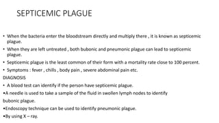 SEPTICEMIC PLAGUE
• When the bacteria enter the bloodstream directly and multiply there , it is known as septicemic
plague.
• When they are left untreated , both bubonic and pneumonic plague can lead to septicemic
plague.
• Septicemic plague is the least common of their form with a mortality rate close to 100 percent.
• Symptoms : fever , chills , body pain , severe abdominal pain etc.
DIAGNOSIS
• A blood test can identify if the person have septicemic plague.
•A needle is used to take a sample of the fluid in swollen lymph nodes to identify
bubonic plague.
•Endoscopy technique can be used to identify pneumonic plague.
•By using X – ray.
 