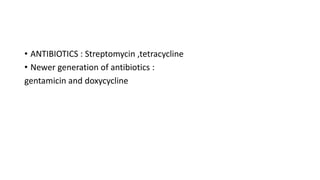 • ANTIBIOTICS : Streptomycin ,tetracycline
• Newer generation of antibiotics :
gentamicin and doxycycline
 