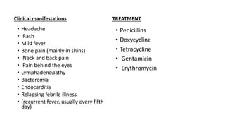 Clinical manifestations
• Headache
• Rash
• Mild fever
• Bone pain (mainly in shins)
• Neck and back pain
• Pain behind the eyes
• Lymphadenopathy
• Bacteremia
• Endocarditis
• Relapsing febrile illness
• (recurrent fever, usually every fifth
day)
TREATMENT
• Penicillins
• Doxycycline
• Tetracycline
• Gentamicin
• Erythromycin
 