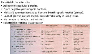 Rickettsial characteristics
• Obligate intracellular parasite.
• Gram negative pleomorphic bacteria.
• Most are zoonoses spread to humans byarthropods (except Q fever).
• Cannot grow in culture media, but cultivable only in living tissue.
• No human to human transmission.
• Rickettsial infections- classification
 