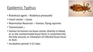 Epidemic Typhus
• Rickettsial agent: - Rickettsia prowazekii
• Insect vector :- Louse
• Mammalian Reservoir :- Human, flying squirrels
• Transmission :-
• Human to human via louse vector, directly in blood,
or as the contaminated louse feces is scratched into
the bite wound, or inhalation of infected louse feces
or dust.
• Incubation period: 5-21 days
 