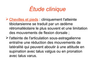 Étude clinique
 Chevilles et pieds : cliniquement l'atteinte
  tibiotarsienne se traduit par un œdème
  rétromalléolaire le plus souvent et une limitation
  des mouvements de flexion dorsale ;
 l'atteinte de l'articulation sous-astragalienne
  entraîne une réduction des mouvements de
  latéralité qui peuvent aboutir à une attitude en
  supination avec talus valgus ou en pronation
  avec talus varus.
 