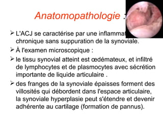 Anatomopathologie :
 L'ACJ se caractérise par une inflammation
  chronique sans suppuration de la synoviale.
 À l'examen microscopique :
 le tissu synovial atteint est œdémateux, et infiltré
  de lymphocytes et de plasmocytes avec sécrétion
  importante de liquide articulaire .
 des franges de la synoviale épaisses forment des
  villosités qui débordent dans l'espace articulaire,
  la synoviale hyperplasie peut s'étendre et devenir
  adhérente au cartilage (formation de pannus).
 