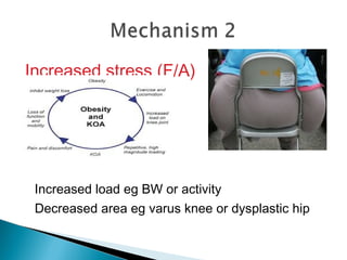 Increased stress (F/A)
Increased load eg BW or activity
Decreased area eg varus knee or dysplastic hip
 