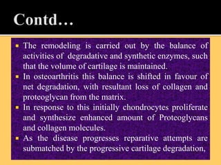  The remodeling is carried out by the balance of
activities of degradative and synthetic enzymes, such
that the volume of cartilage is maintained.
 In osteoarthritis this balance is shifted in favour of
net degradation, with resultant loss of collagen and
proteoglycan from the matrix.
 In response to this initially chondrocytes proliferate
and synthesize enhanced amount of Proteoglycans
and collagen molecules.
 As the disease progresses reparative attempts are
submatched by the progressive cartilage degradation,
 