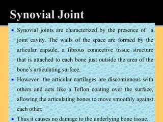  Synovial joints are characterized by the presence of a
joint cavity. The walls of the space are formed by the
articular capsule, a fibrous connective tissue structure
that is attached to each bone just outside the area of the
bone’s articulating surface.
 However the articular cartilages are discontinuous with
others and acts like a Teflon coating over the surface,
allowing the articulating bones to move smoothly against
each other.
 Thus it causes no damage to the underlying bone tissue.
 