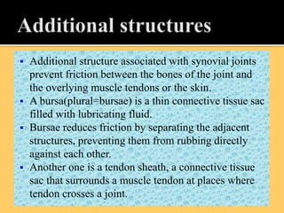  Additional structure associated with synovial joints
prevent friction between the bones of the joint and
the overlying muscle tendons or the skin.
 A bursa(plural=bursae) is a thin connective tissue sac
filled with lubricating fluid.
 Bursae reduces friction by separating the adjacent
structures, preventing them from rubbing directly
against each other.
 Another one is a tendon sheath, a connective tissue
sac that surrounds a muscle tendon at places where
tendon crosses a joint.
 