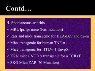 4. Spontaneous arthritis
 MRL Ipr/Ipr mice (Fas mutation)
 Rats and mice transgenic for HLA-B27 and b2-m
 Mice transgenic for human TNF-α
 Mice transgenic for HTLV- 1 EnvpX
 KRN mice ( NOD x transgenic for a TCR) F1
 SKG Mice(ZAP -70 Mutation)
 