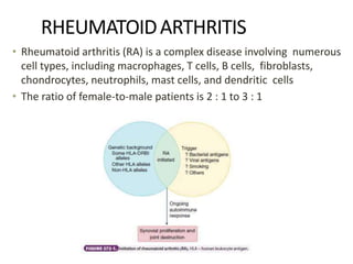 RHEUMATOIDARTHRITIS
• Rheumatoid arthritis (RA) is a complex disease involving numerous
cell types, including macrophages, T cells, B cells, fibroblasts,
chondrocytes, neutrophils, mast cells, and dendritic cells
• The ratio of female-to-male patients is 2 : 1 to 3 : 1
 