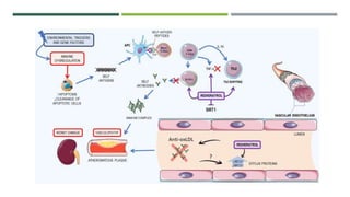 Arthritis and its types