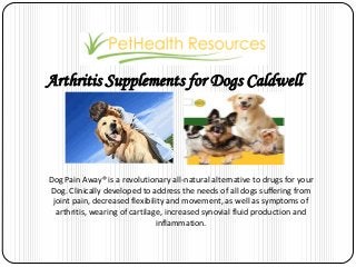 Arthritis Supplements for Dogs Caldwell
Dog Pain Away® is a revolutionary all-natural alternative to drugs for your
Dog. Clinically developed to address the needs of all dogs suffering from
joint pain, decreased flexibility and movement, as well as symptoms of
arthritis, wearing of cartilage, increased synovial fluid production and
inflammation.
 